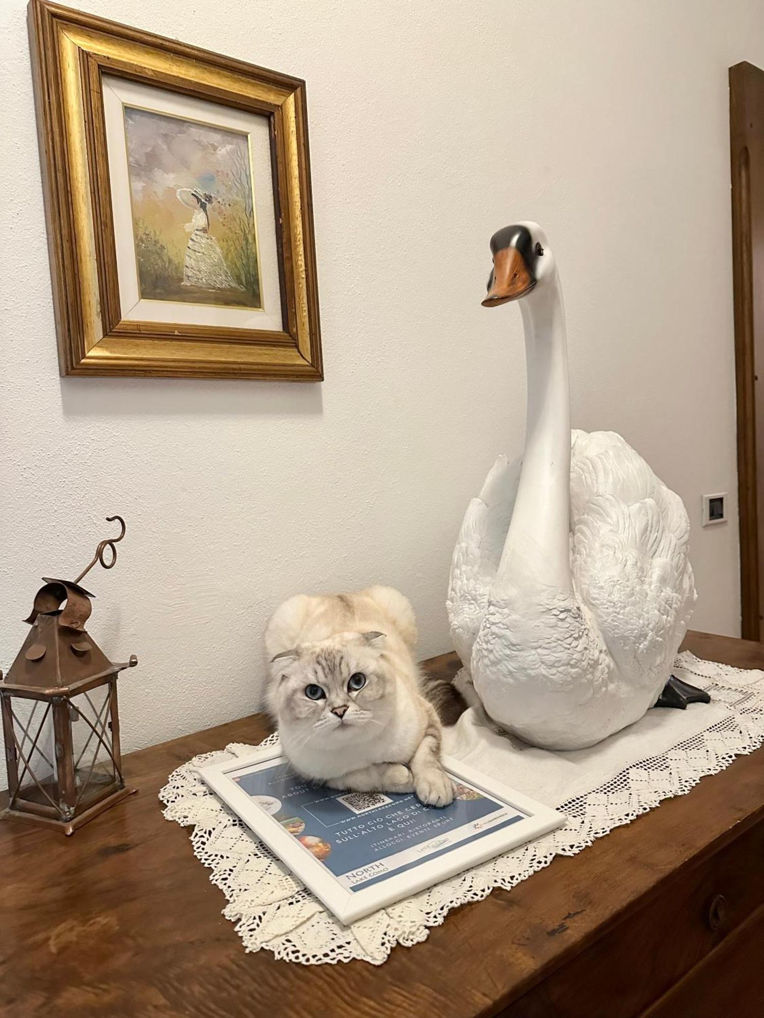 B&B La Dolce Casa Lago Di Como Cremia 外观 照片