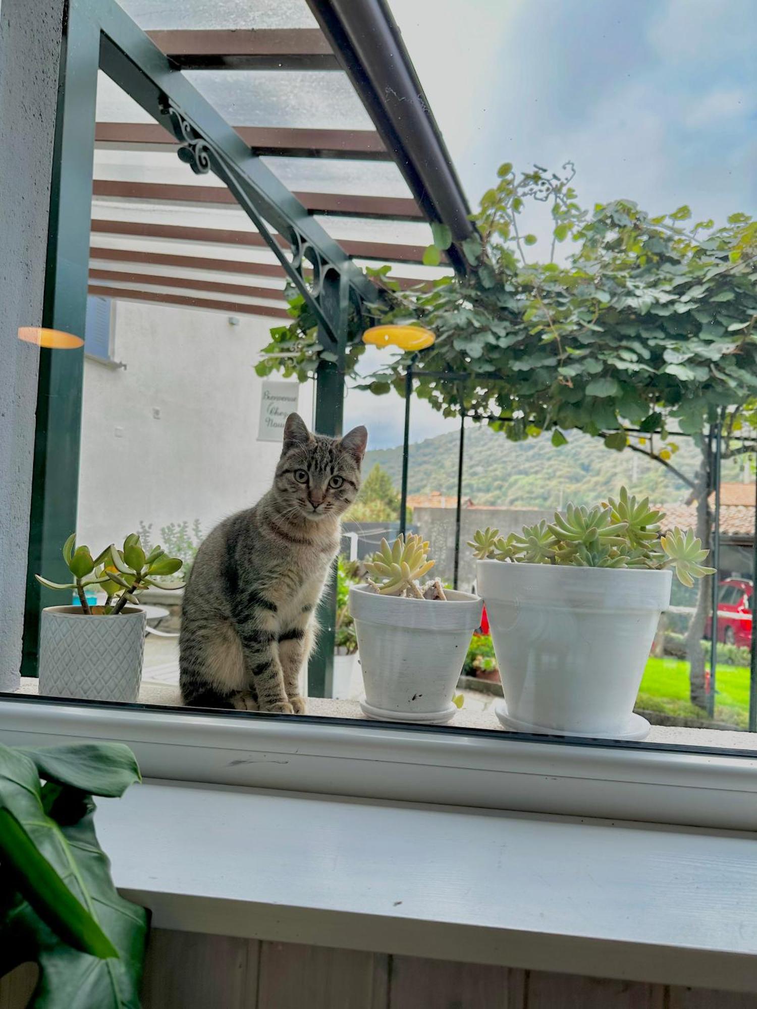 B&B La Dolce Casa Lago Di Como Cremia 外观 照片